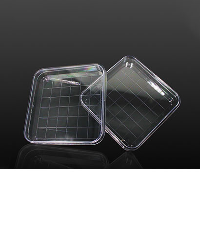 Microbial Detection Consumables