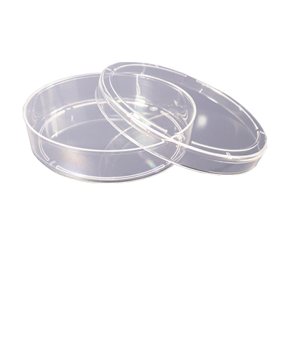 Cell Culture Dish