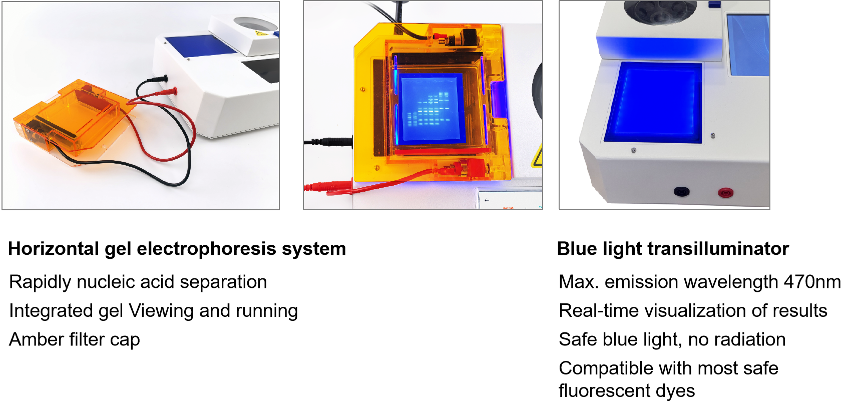 局部联图1 EN.png